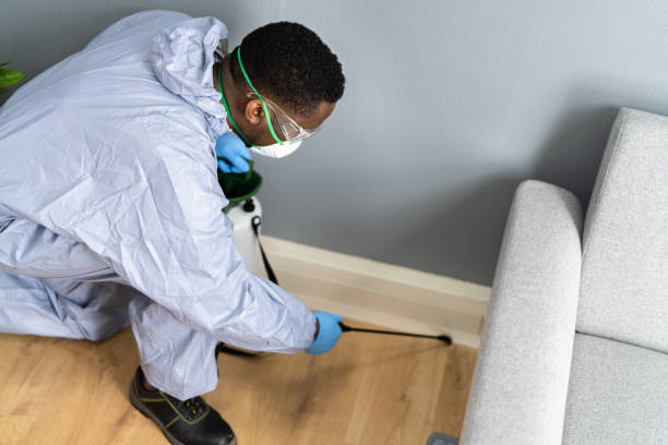 Best Real Estate Pest Inspections  in Mifflinburg, PA